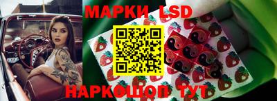 крисы Новодвинск