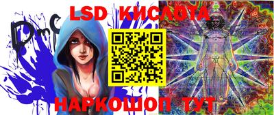прущие крисы Новозыбков
