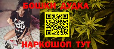 крисы Новодвинск