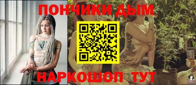 крисы Новодвинск
