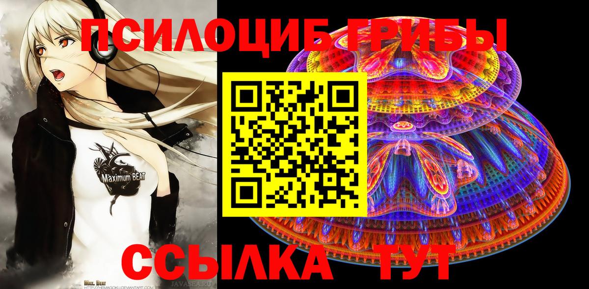 Тара  Псилоцибиновые грибы Magic Shrooms  продажа наркотиков  Вход с VPN  Галлюциногенные грибы Magic Shrooms 